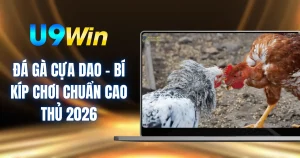 Đá Gà Cựa Dao - Bí Kíp Chơi Chuẩn Cao Thủ 2026