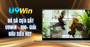 Đá Gà Cựa Sắt U9WIN - 100+ Giải Đấu Siêu Hot 