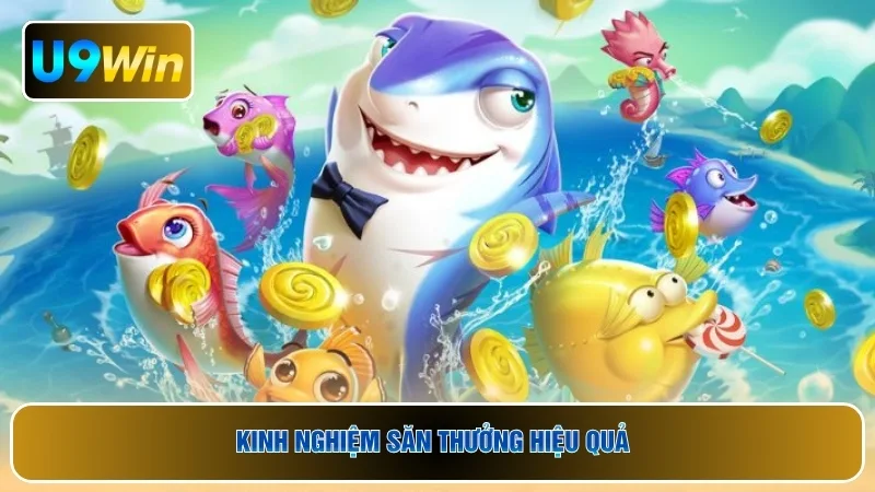 Kinh nghiệm săn thưởng hiệu quả 