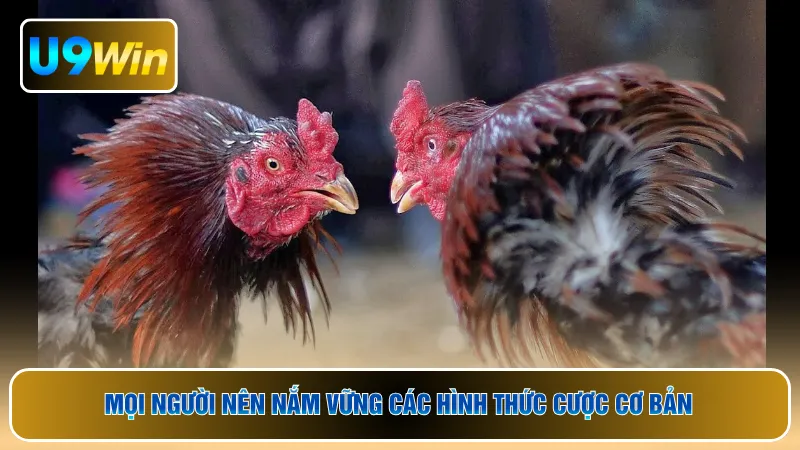Mọi người nên nắm vững các hình thức cược cơ bản