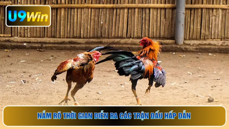 Nắm rõ thời gian diễn ra các trận đấu hấp dẫn