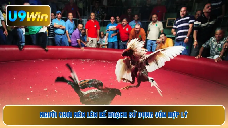 Người chơi nên lên kế hoạch sử dụng vốn hợp lý