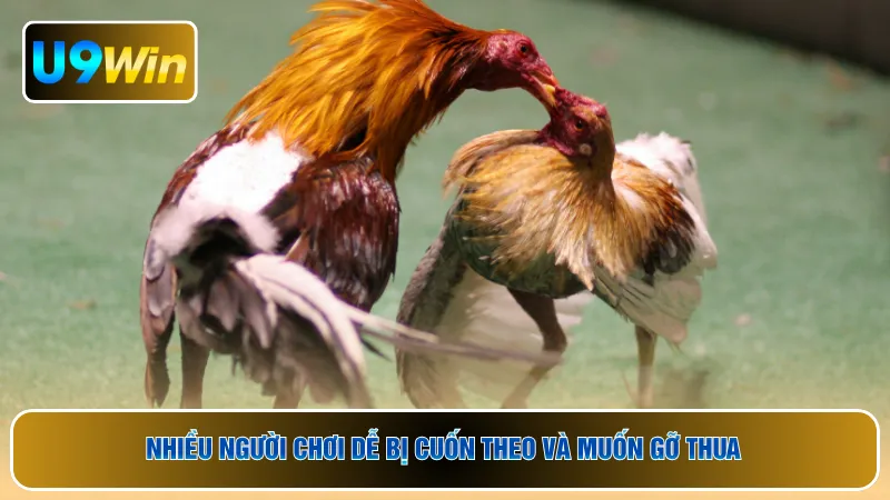 Nhiều người chơi dễ bị cuốn theo và muốn gỡ thua